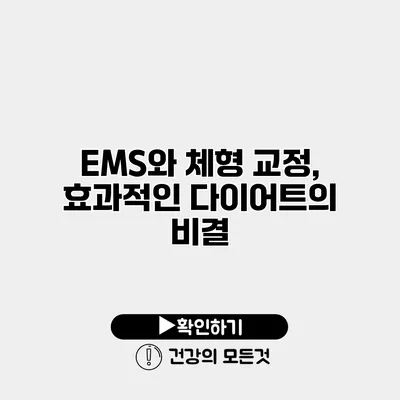 EMS와 체형 교정, 효과적인 다이어트의 비결