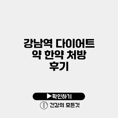 강남역 다이어트 약 한약 처방 후기