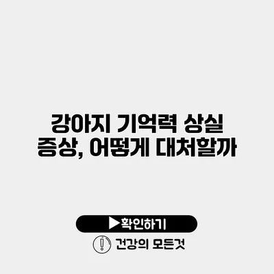 강아지 기억력 상실 증상, 어떻게 대처할까?
