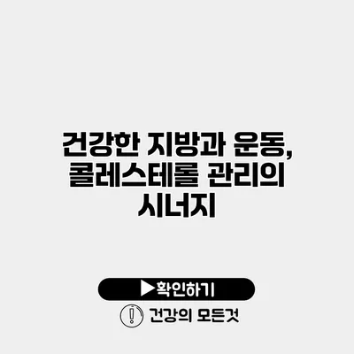 건강한 지방과 운동, 콜레스테롤 관리의 시너지