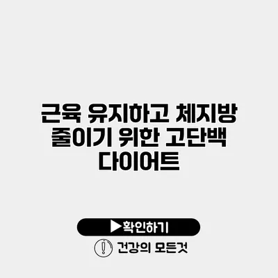 근육 유지하고 체지방 줄이기 위한 고단백 다이어트