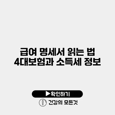 급여 명세서 읽는 법 4대보험과 소득세 정보