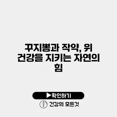 꾸지뽕과 작약, 위 건강을 지키는 자연의 힘