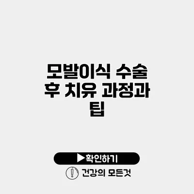 모발이식 수술 후 치유 과정과 팁