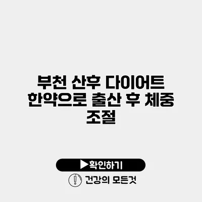 부천 산후 다이어트 한약으로 출산 후 체중 조절