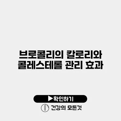브로콜리의 칼로리와 콜레스테롤 관리 효과