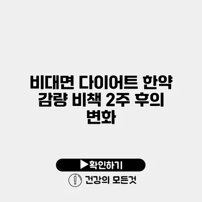 비대면 다이어트 한약 감량 비책 2주 후의 변화