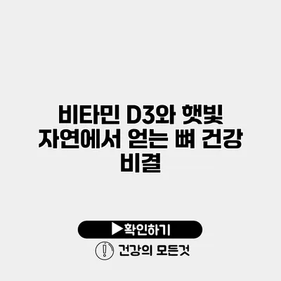 비타민 D3와 햇빛 자연에서 얻는 뼈 건강 비결