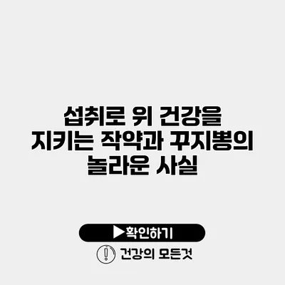 섭취로 위 건강을 지키는 작약과 꾸지뽕의 놀라운 사실