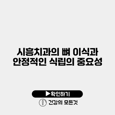 시흥치과의 뼈 이식과 안정적인 식립의 중요성