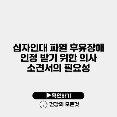 십자인대 파열 후유장해 인정 받기 위한 의사 소견서의 필요성