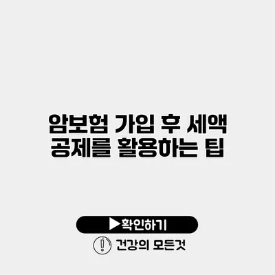 암보험 가입 후 세액 공제를 활용하는 팁