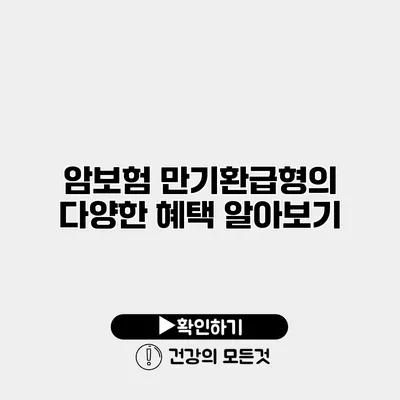 암보험 만기환급형의 다양한 혜택 알아보기