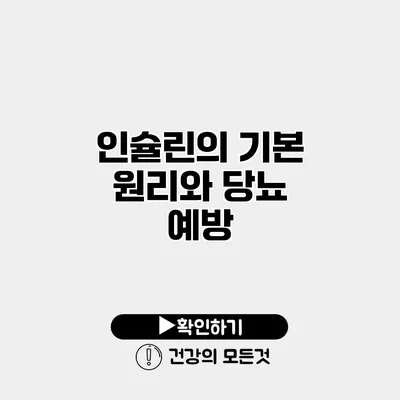 인슐린의 기본 원리와 당뇨 예방