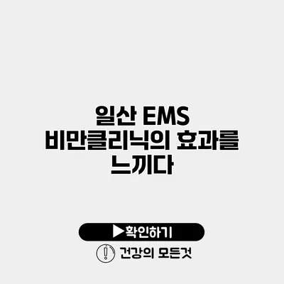 일산 EMS 비만클리닉의 효과를 느끼다