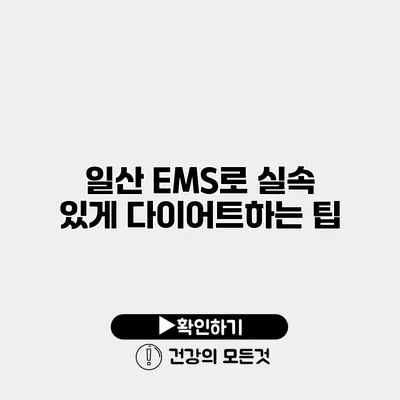 일산 EMS로 실속 있게 다이어트하는 팁