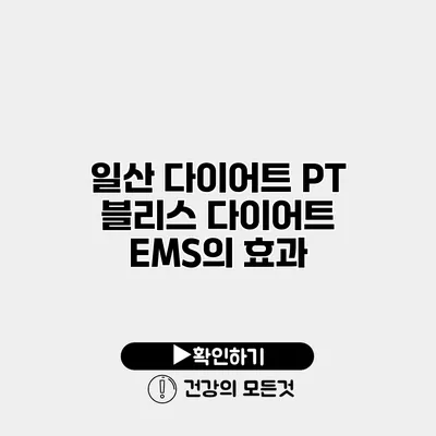 일산 다이어트 PT 블리스 다이어트 EMS의 효과