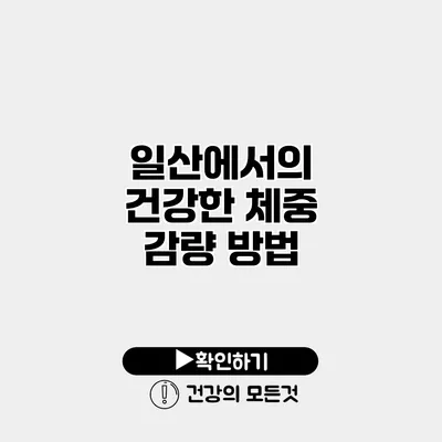 일산에서의 건강한 체중 감량 방법