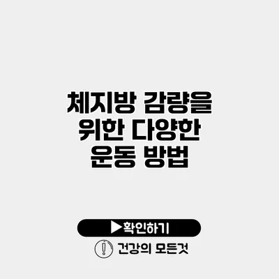 체지방 감량을 위한 다양한 운동 방법