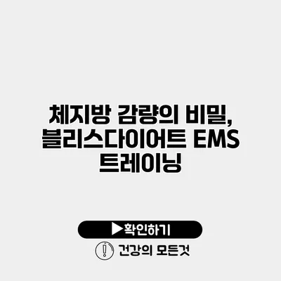 체지방 감량의 비밀, 블리스다이어트 EMS 트레이닝