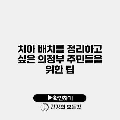 치아 배치를 정리하고 싶은 의정부 주민들을 위한 팁