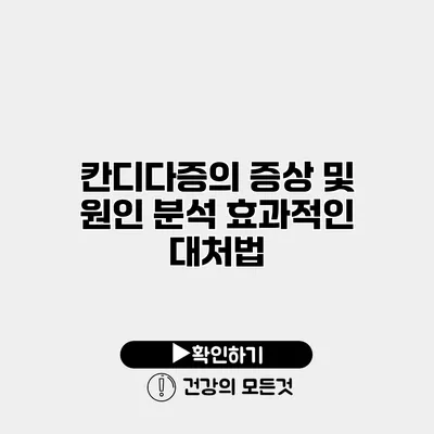 칸디다증의 증상 및 원인 분석 효과적인 대처법