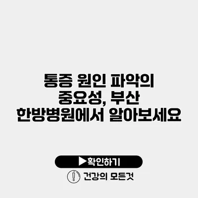통증 원인 파악의 중요성, 부산 한방병원에서 알아보세요