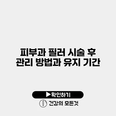 피부과 필러 시술 후 관리 방법과 유지 기간