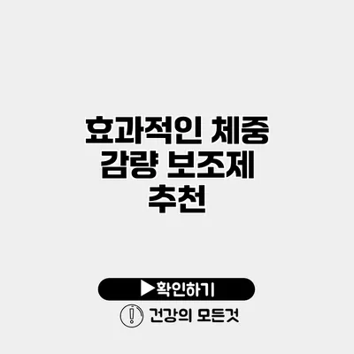 효과적인 체중 감량 보조제 추천