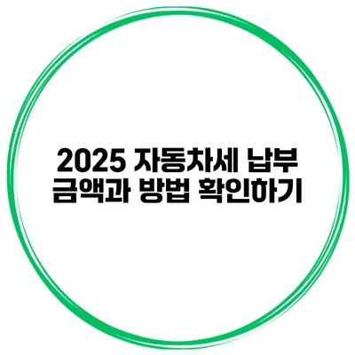 2025 자동차세 납부 금액과 방법 확인하기