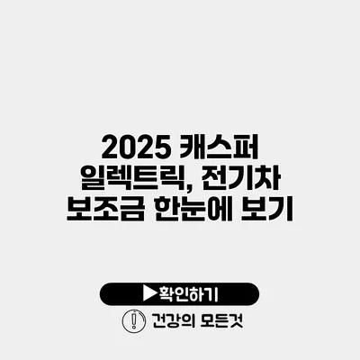 2025 캐스퍼 일렉트릭, 전기차 보조금 한눈에 보기