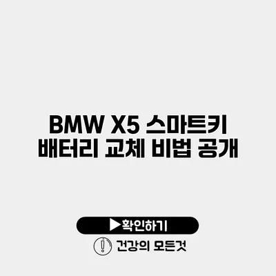 BMW X5 스마트키 배터리 교체 비법 공개