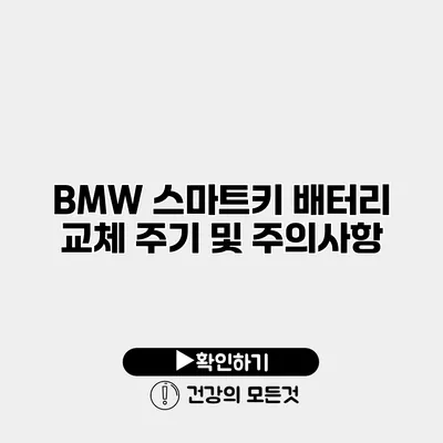 BMW 스마트키 배터리 교체 주기 및 주의사항
