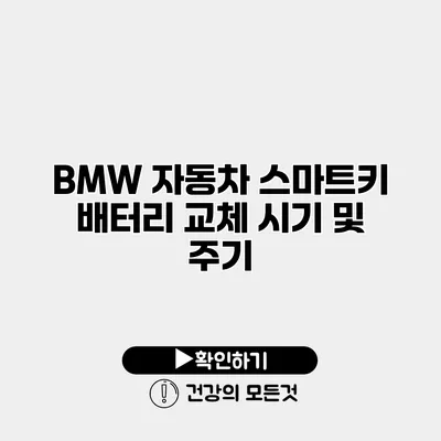BMW 자동차 스마트키 배터리 교체 시기 및 주기