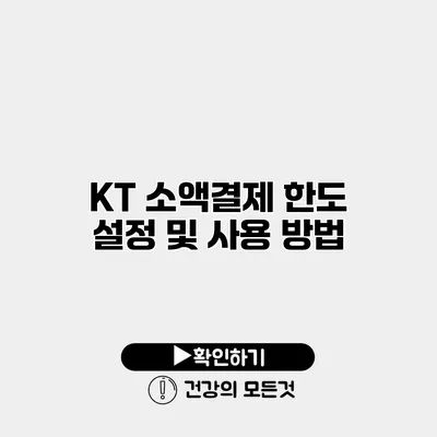 KT 소액결제 한도 설정 및 사용 방법