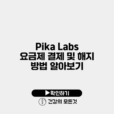 Pika Labs 요금제 결제 및 해지 방법 알아보기