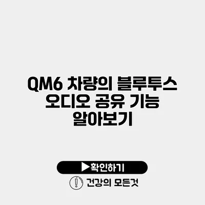 QM6 차량의 블루투스 오디오 공유 기능 알아보기