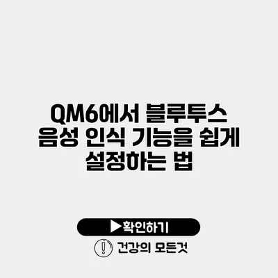 QM6에서 블루투스 음성 인식 기능을 쉽게 설정하는 법