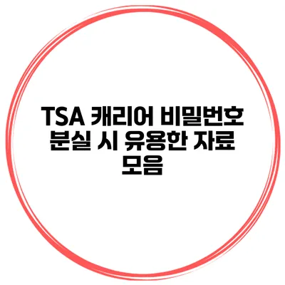 TSA 캐리어 비밀번호 분실 시 유용한 자료 모음