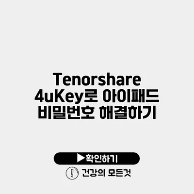 Tenorshare 4uKey로 아이패드 비밀번호 해결하기