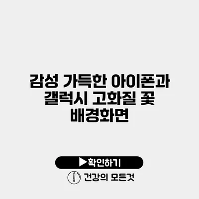 감성 가득한 아이폰과 갤럭시 고화질 꽃 배경화면