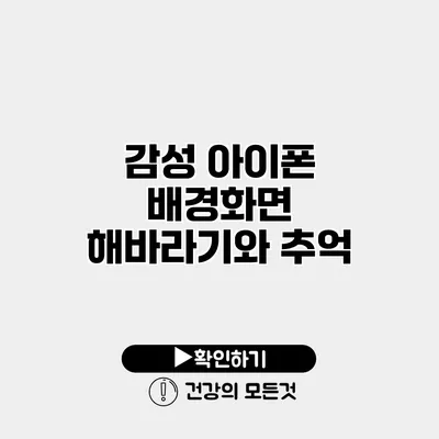 감성 아이폰 배경화면 해바라기와 추억