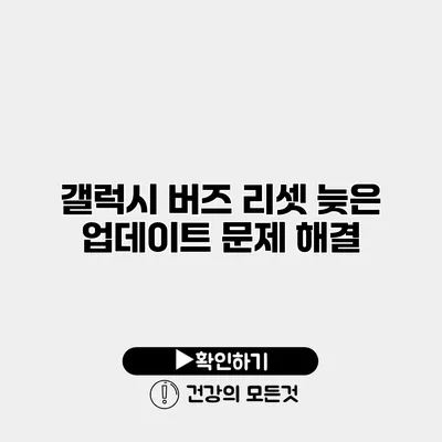 갤럭시 버즈 리셋 늦은 업데이트 문제 해결