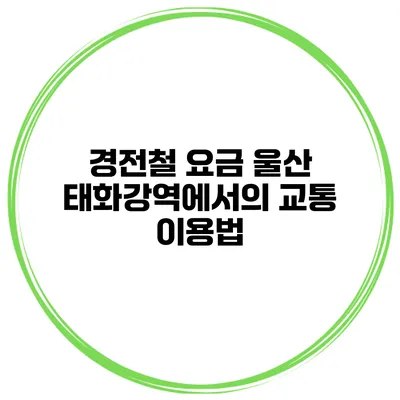 경전철 요금 울산 태화강역에서의 교통 이용법