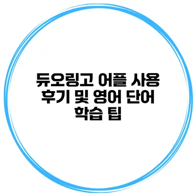 듀오링고 어플 사용 후기 및 영어 단어 학습 팁