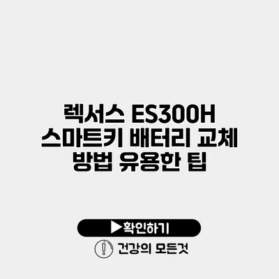 렉서스 ES300H 스마트키 배터리 교체 방법 유용한 팁