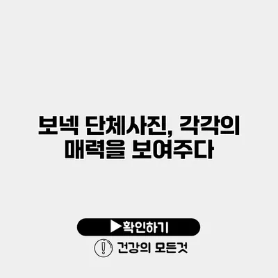 보넥 단체사진, 각각의 매력을 보여주다