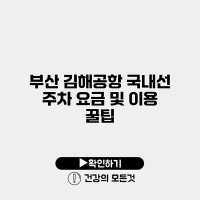 부산 김해공항 국내선 주차 요금 및 이용 꿀팁