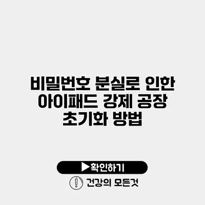 비밀번호 분실로 인한 아이패드 강제 공장 초기화 방법