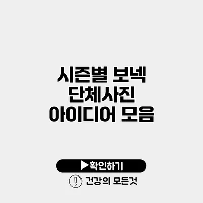시즌별 보넥 단체사진 아이디어 모음